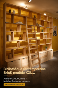 Bibliothèque contemporaine BricK modèle XXL dans un intérieur moderne.