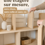 Étagère dans un salon moderne, construite sans clous ni vis.