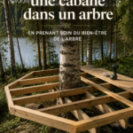 Cabane en bois perchée dans un arbre, respectueuse de son environnement.