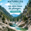 Une vue d'une magnifique piscine naturelle entourée de verdure, parfaite pour la détente.