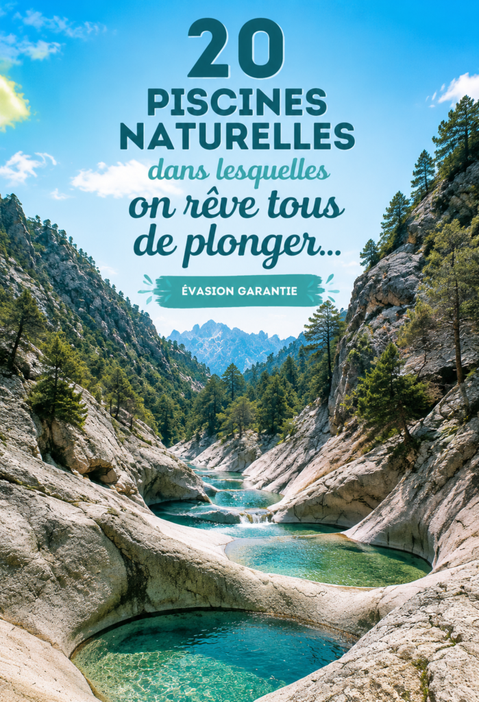 Une vue d'une magnifique piscine naturelle entourée de verdure, parfaite pour la détente.